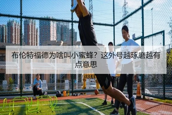 布伦特福德为啥叫小蜜蜂？这外号越琢磨越有点意思